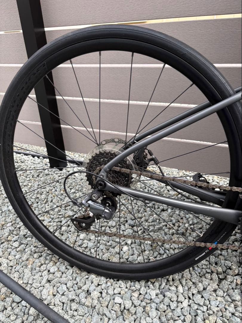 Trek Domane AL 2 Gen 4 44 美品 1ヶ月使用