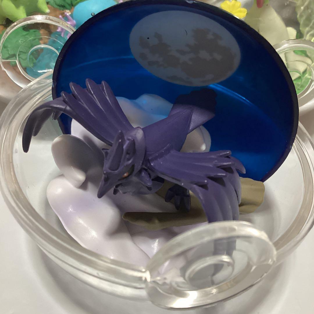 ポケモン テラリウム　コレクション