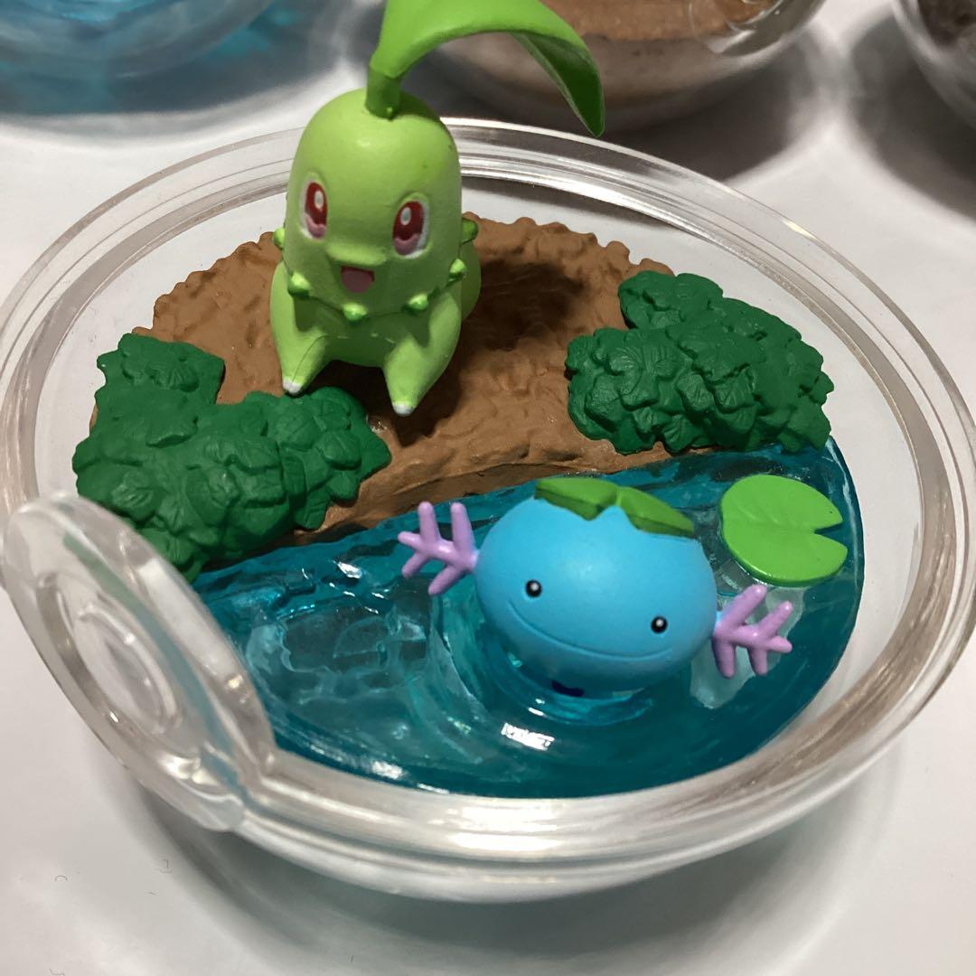 ポケモン テラリウム　コレクション