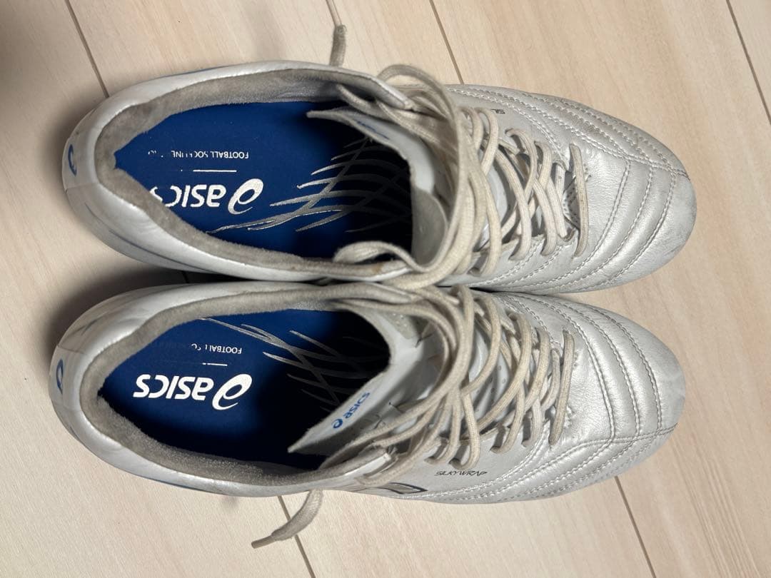 アシックス DS LIGHT X-FLY PRO 3 25cm
