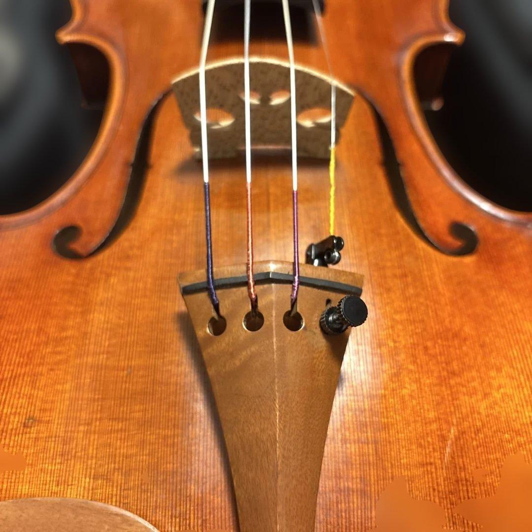 ✨美品✨Roderich Paesold 806 バイオリン 4/4サイズ