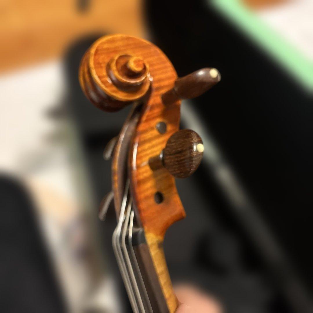 ✨美品✨Roderich Paesold 806 バイオリン 4/4サイズ