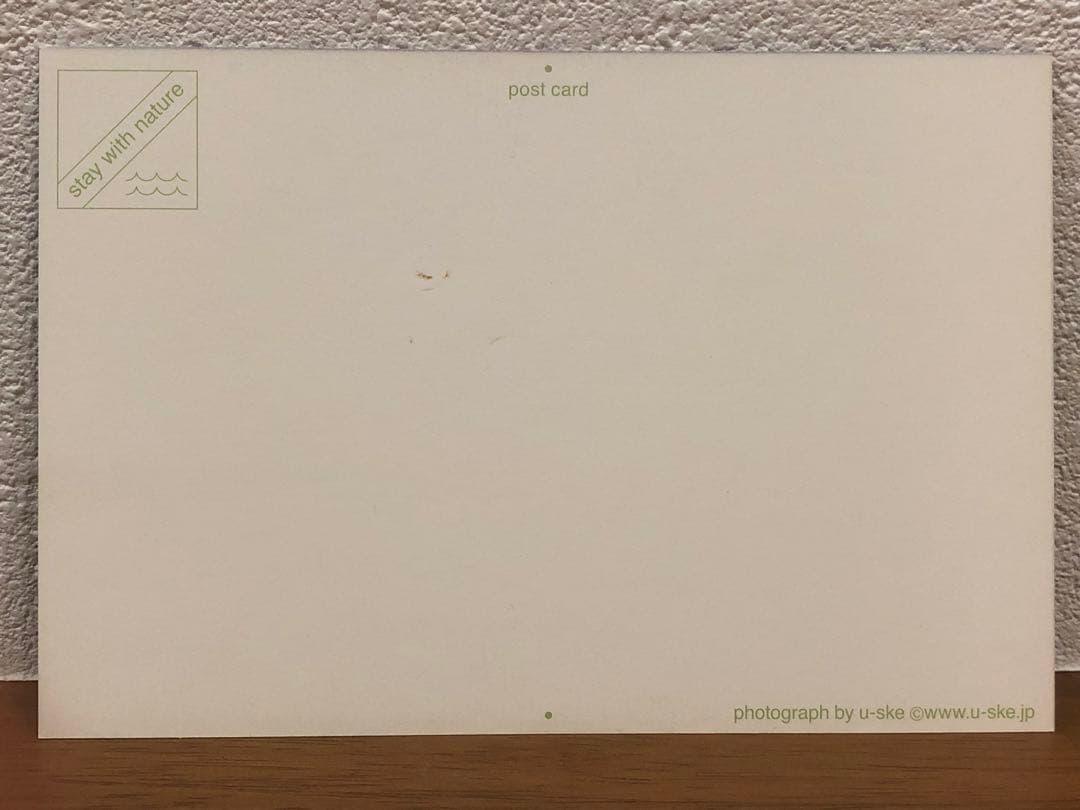 ヘザーブラウン 絵画 アート u-ske ポストカード 木製フレーム付き まとめ