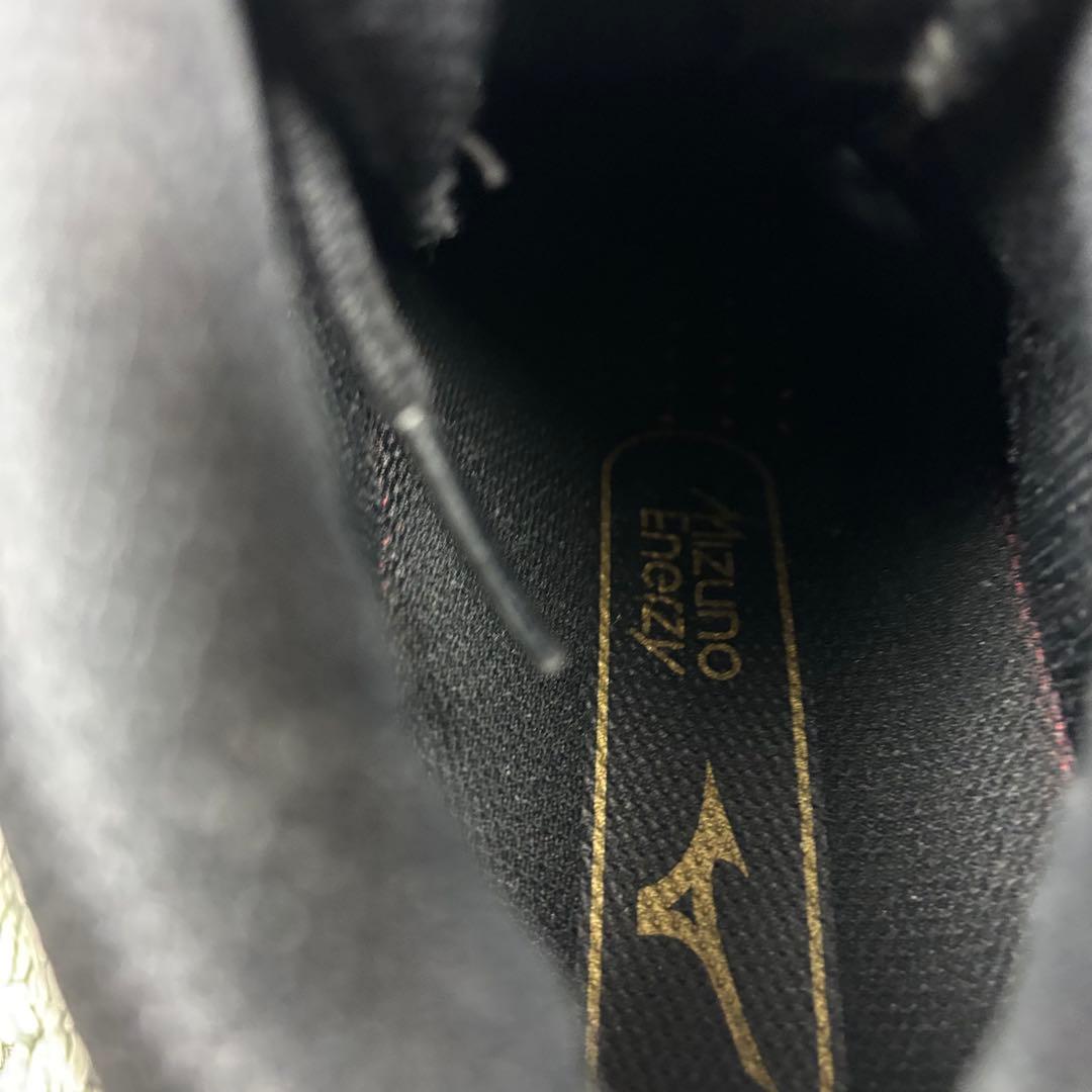 Mizuno Wave Dancer 24 JP ブラックシューズ 中古