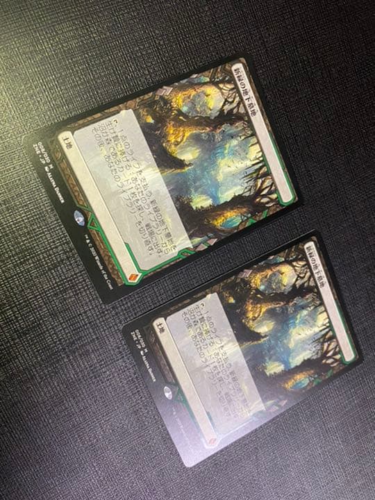 新緑の地下墓地　MTG ZND