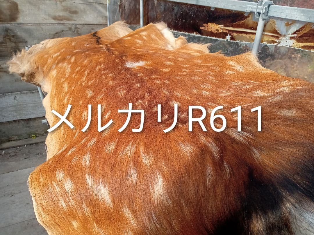 天然日本鹿　毛布・ブランケット