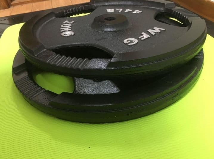 ①WILDFIT ワイルドフィット プレート 20kg x 1枚(同時購入)