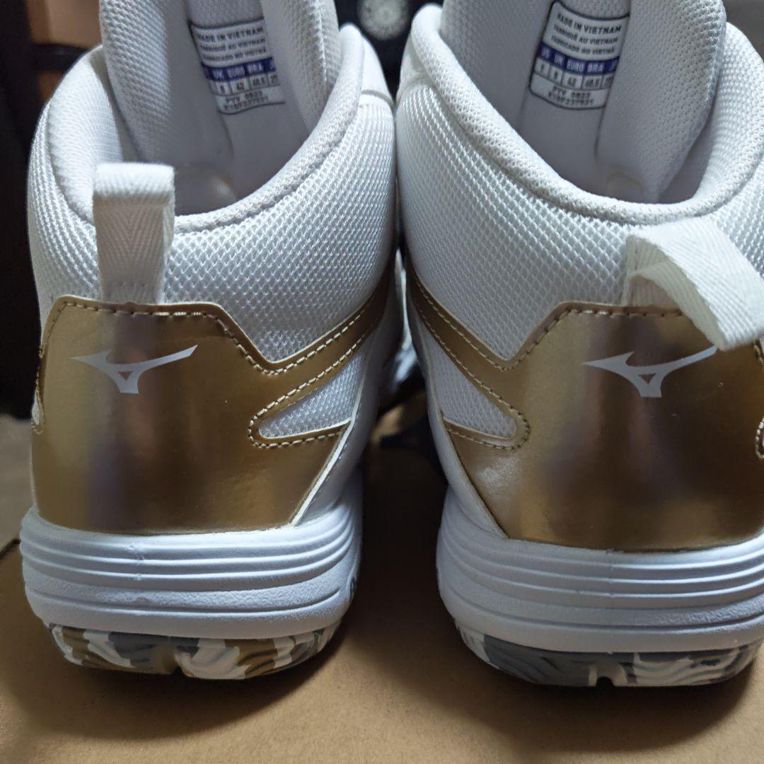 その他 Mizuno WAVE DIVERSE L4 Ltd 27.0cm