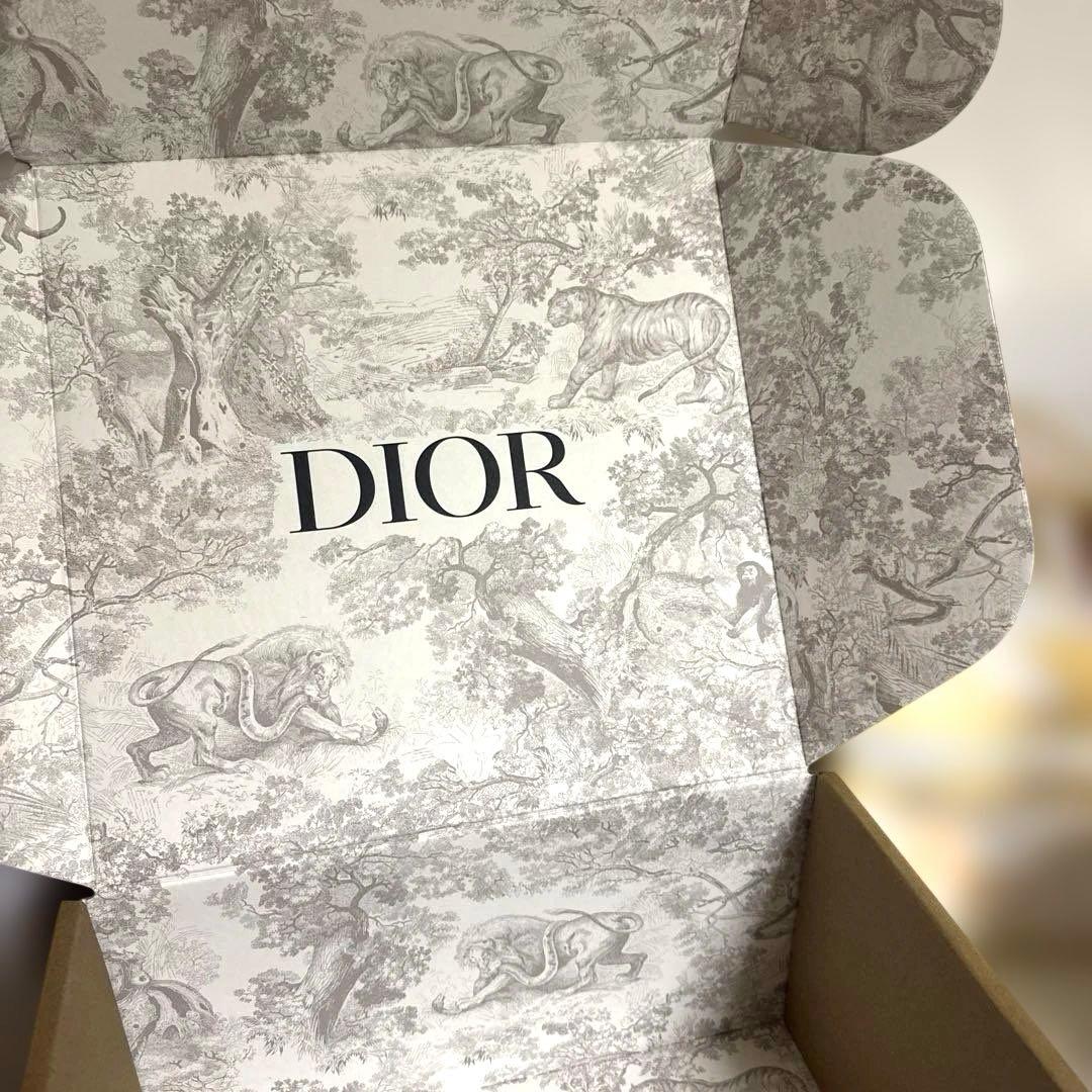DIOR ノベルティ　ジュエリーケース &トランプ