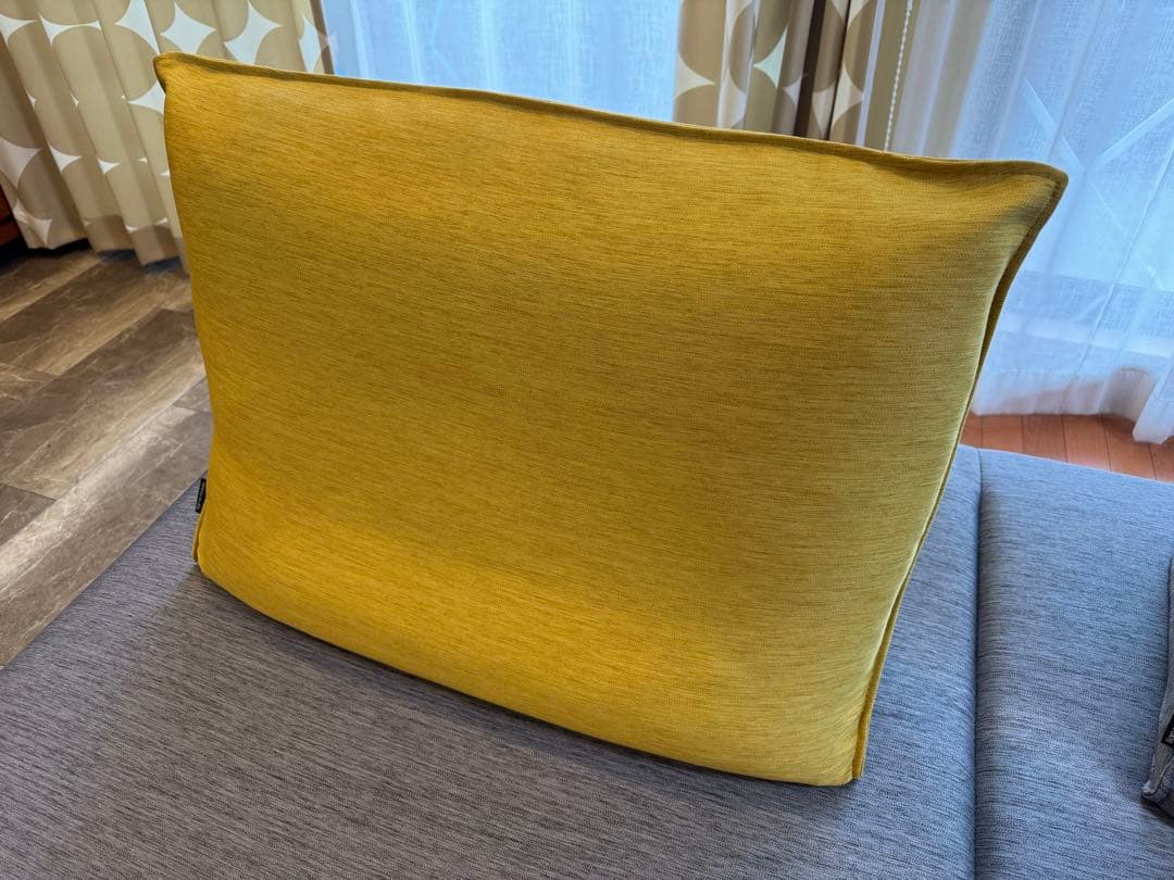 2024年春大丸購入 ligne roset prado 2人掛けソファ