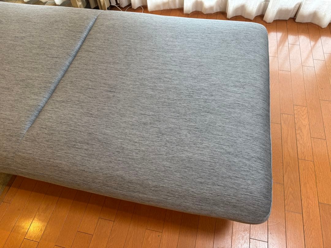 2024年春大丸購入 ligne roset prado 2人掛けソファ