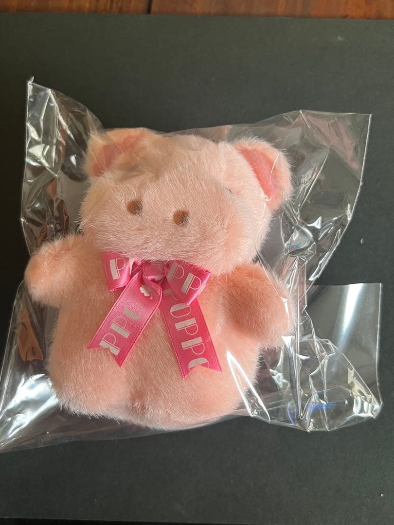 ポッポちゃん（ミニ）(S)2個セット カバ TAKENOKO 新品未開封品