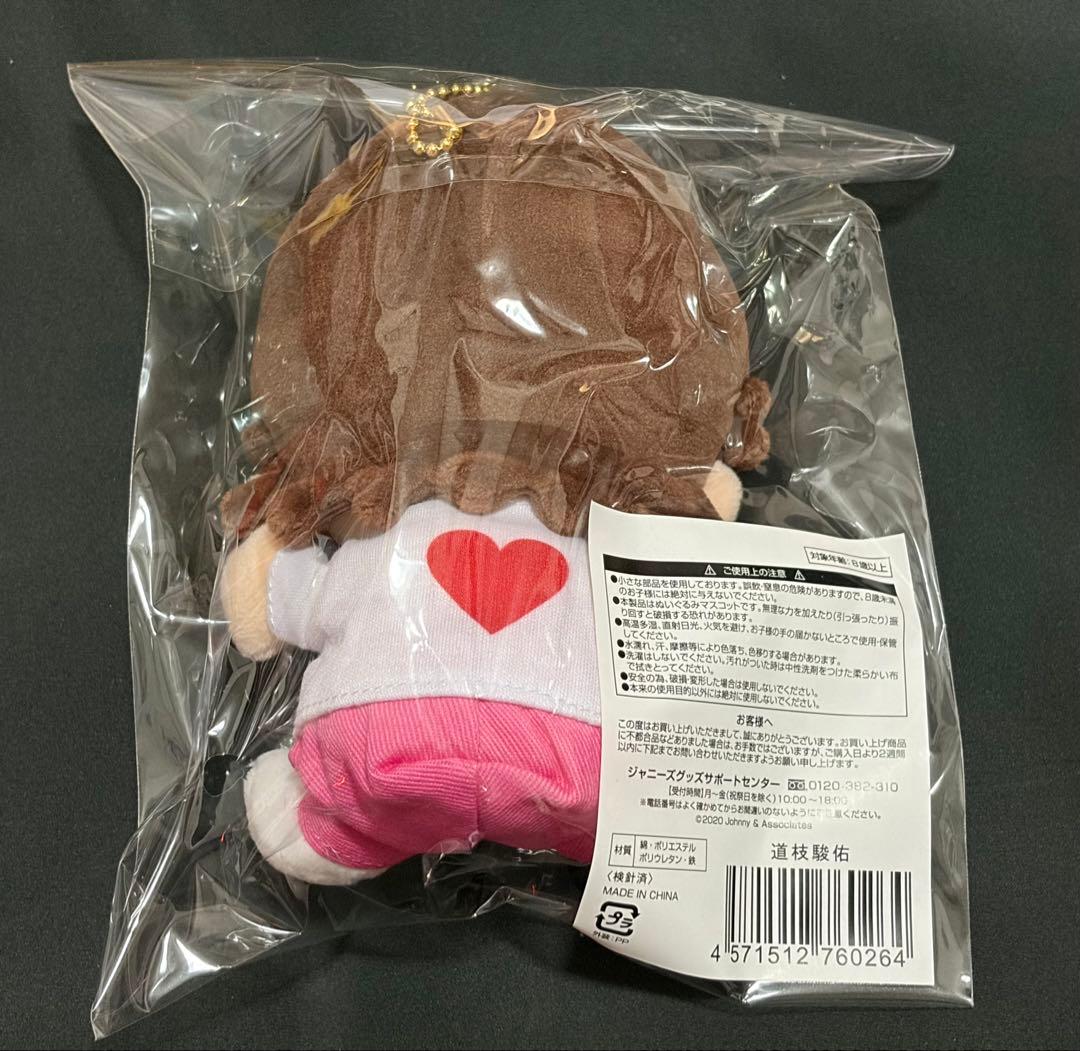 なにわ男子　道枝駿佑　ちびぬい