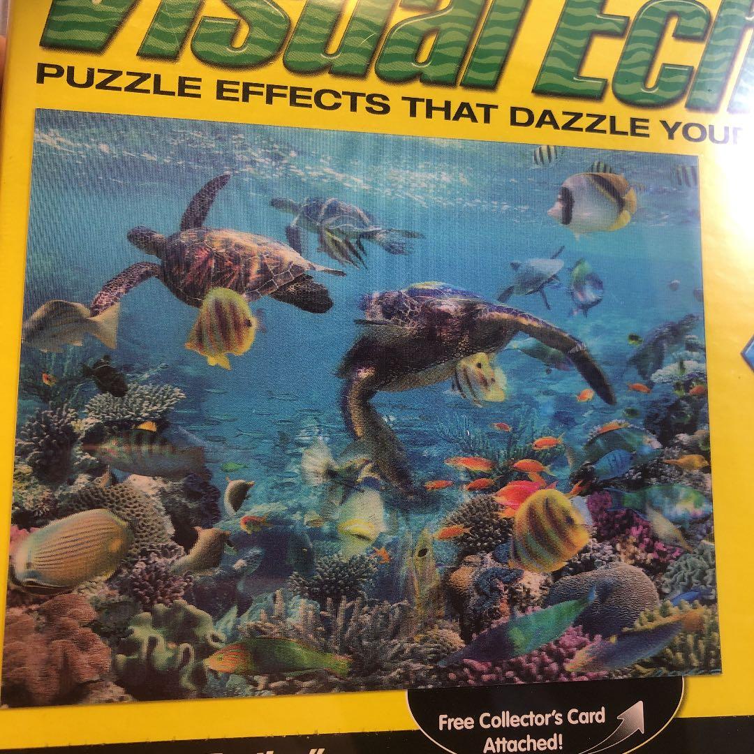 珍品！レンズ状パズル　3D効果　「亀を数えて」Count The Turtles