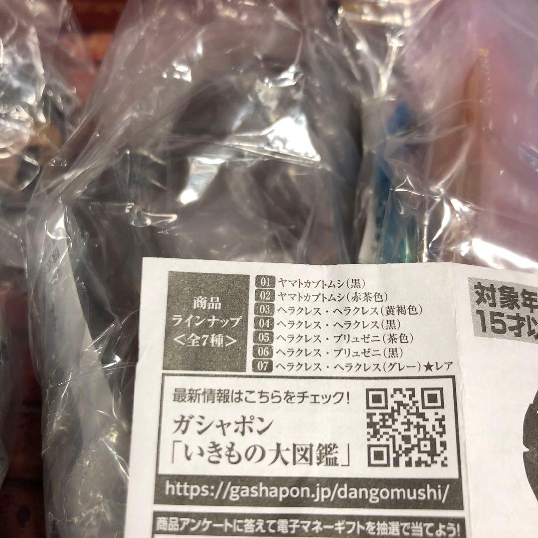 ガシャポン　いきもの大図鑑　かぶとむし 01 全7種　フルコンプ