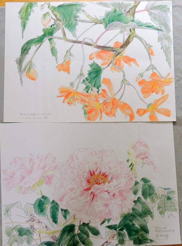 複製画 ★ 中島千波 花の写生12葉 ★ 求龍堂