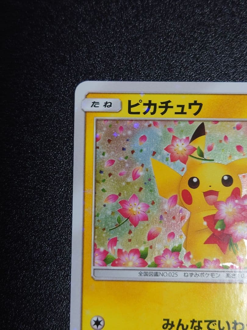 【美品】ピカチュウ 224/SM-P PROMO
