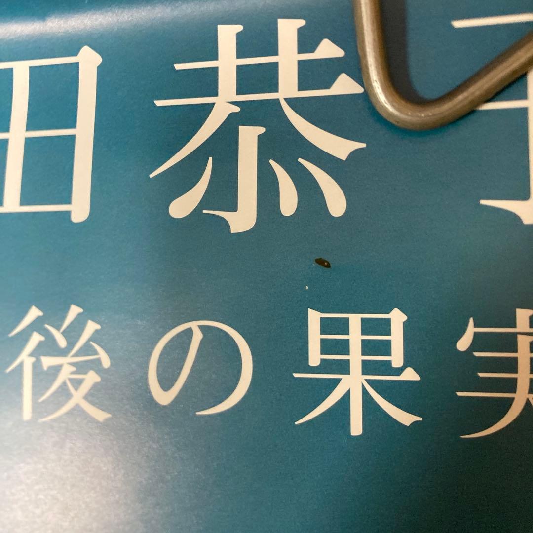 深田恭子ポスター6枚最後の果実 イージーライダー Dear moonスイミング他