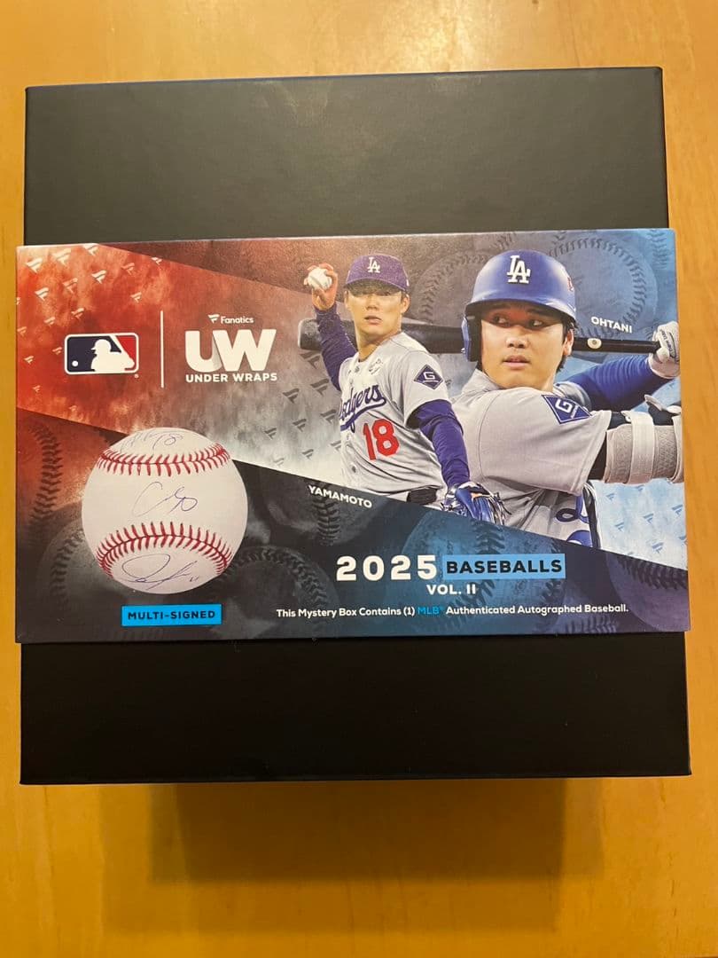 CHRISTIAN YELICH 直筆サインボール