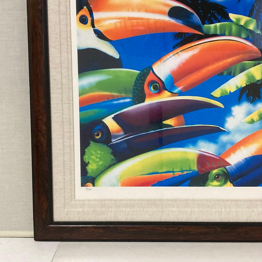 ベッペ・スパダチーニ 額装 アート 大型 オオハシ 鳥 トロピカル レトロ