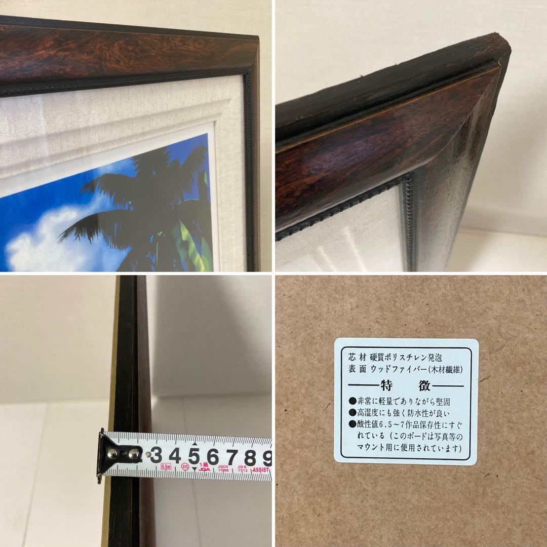 ベッペ・スパダチーニ 額装 アート 大型 オオハシ 鳥 トロピカル レトロ
