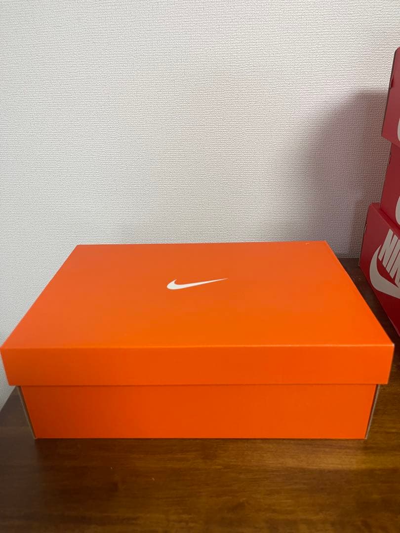 【新品未使用】Nike Zoom Fly 6（28.0）ナイキ ズームフライ6