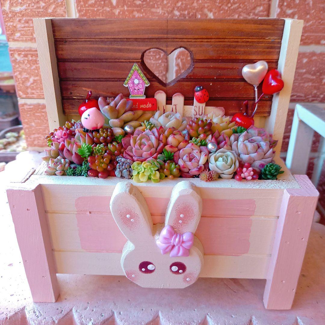❤️多肉植物❤️そのまま飾れる寄せ植え❤️のんびりうさぎちゃん~❤️