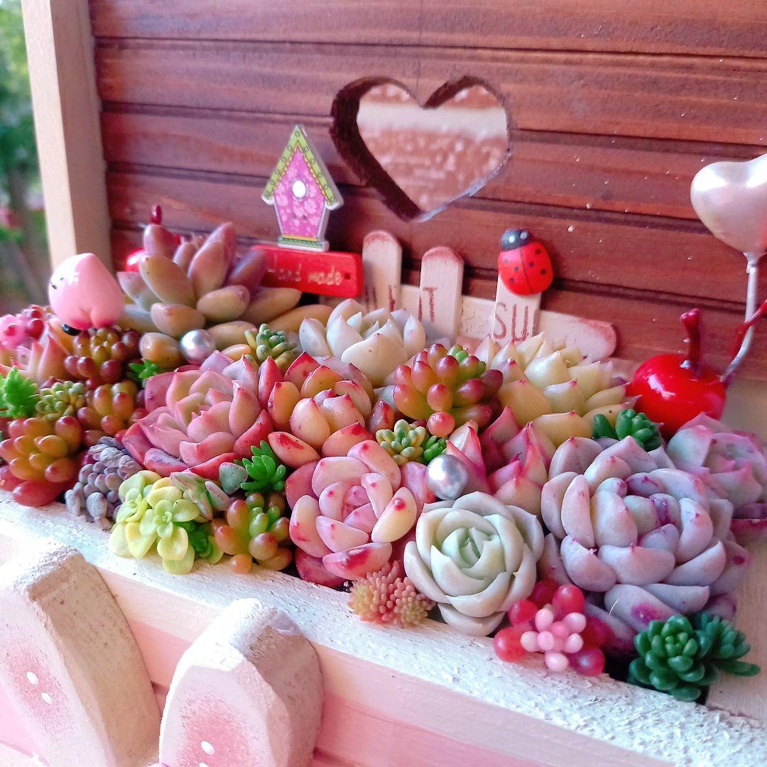 ❤️多肉植物❤️そのまま飾れる寄せ植え❤️のんびりうさぎちゃん~❤️