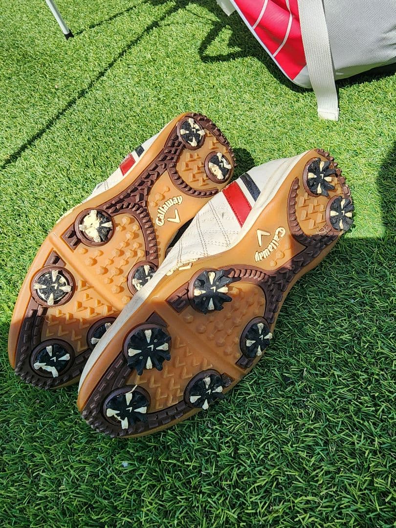 期間値引き　TaylorMade レディース L フルセットトラベルカバー付き！