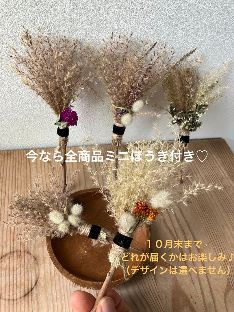 ミニほうきプレゼント⭐︎サンプルページ１０月末まで