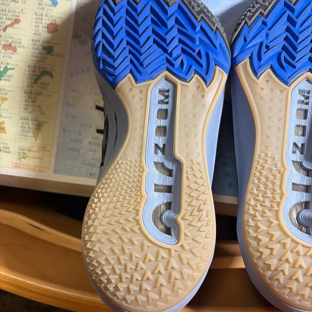 シューズ(男性用) NIKE gtcut2