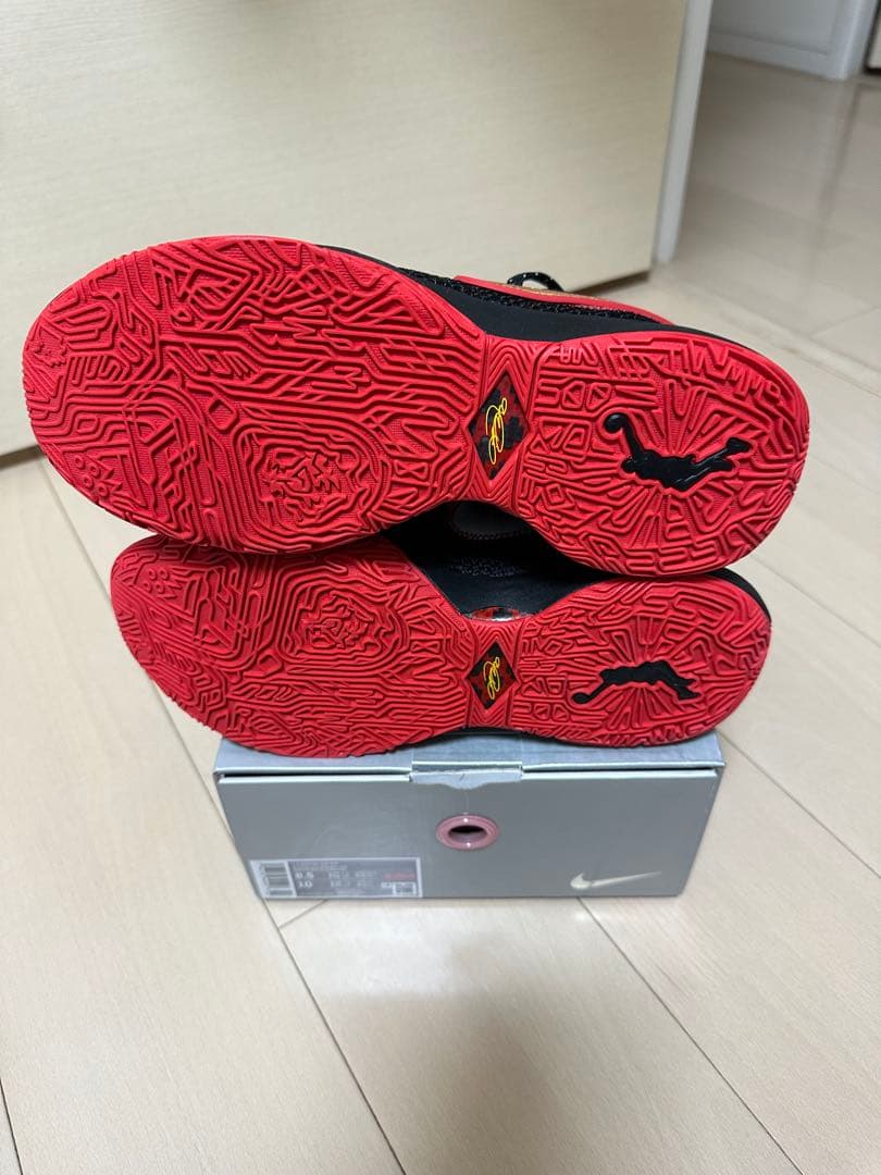 シューズ(男性用) NIKE lebron20