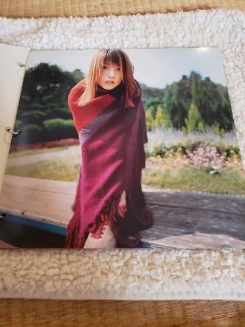 hitomi thermo plastic パンフレット 写真集