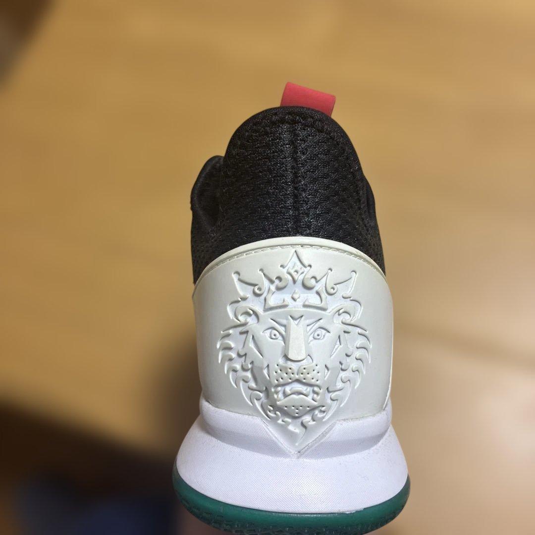 ナイキ レブロン ウィットネス 4（LeBron Witness IV）