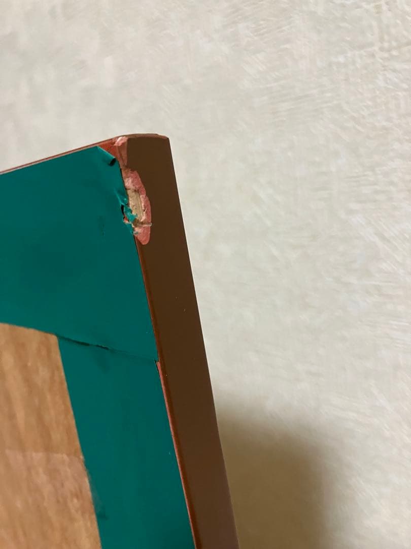 サボテンの絵　絵画　額縁入り