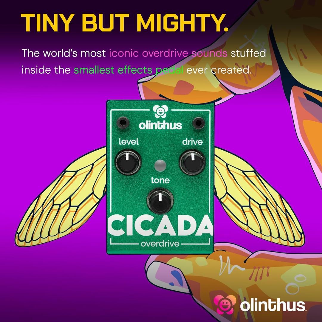 Olinthus オリンサス エフェクター オーバードライブ Cicada