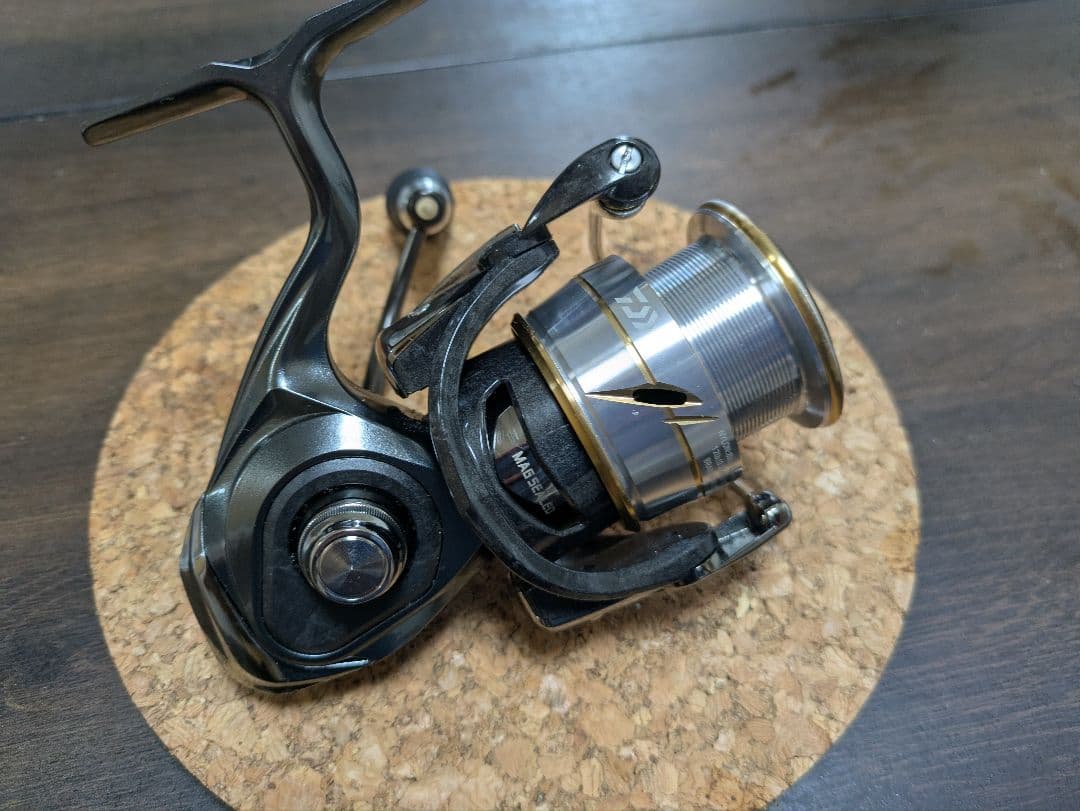 ルビアス LT3000XH SLPワークス RCS55 スプール ベアリング追加