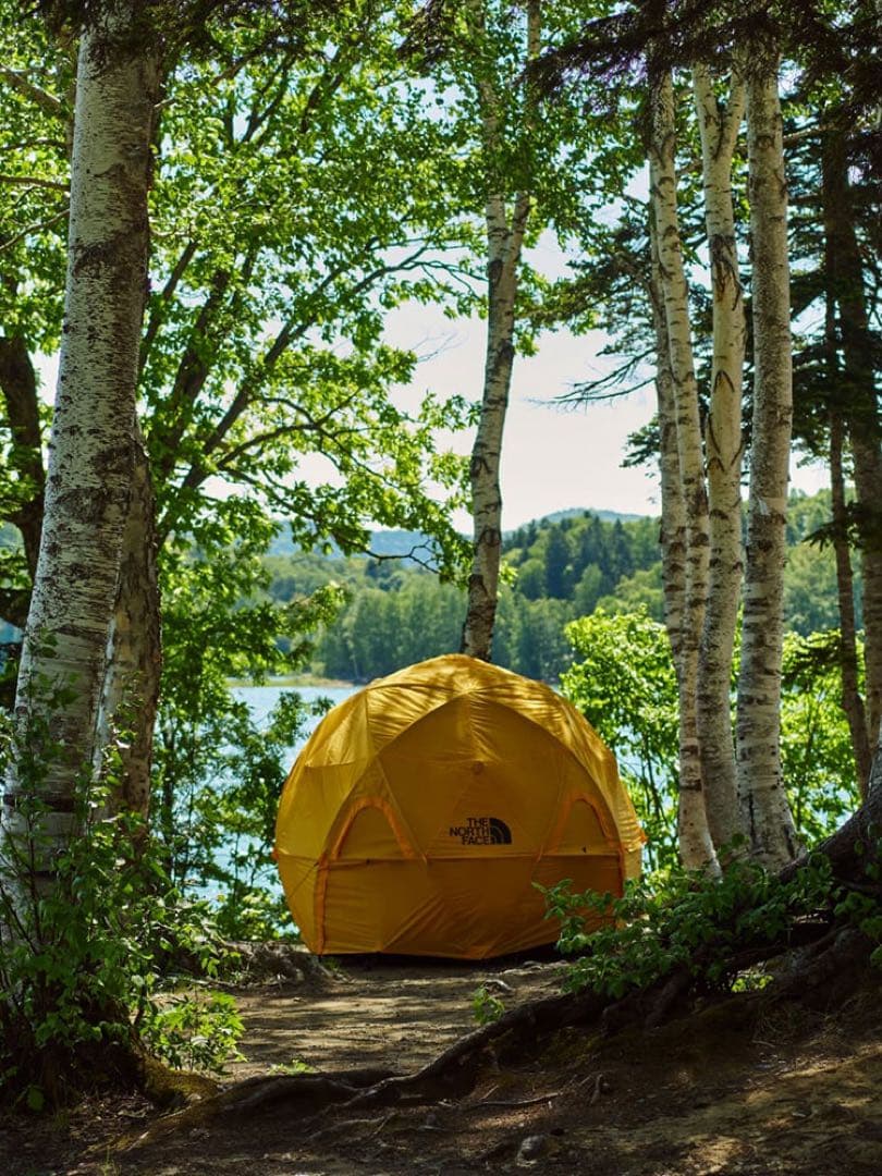 THE NORTH FACE ジオドーム4 GeoDome NV22311 新品