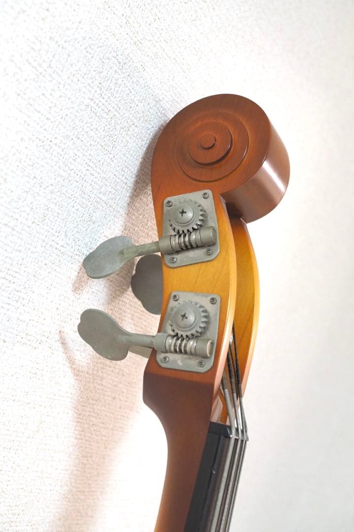 【 最高峰モデル 】ARIA Custom Shop SWB-Beta