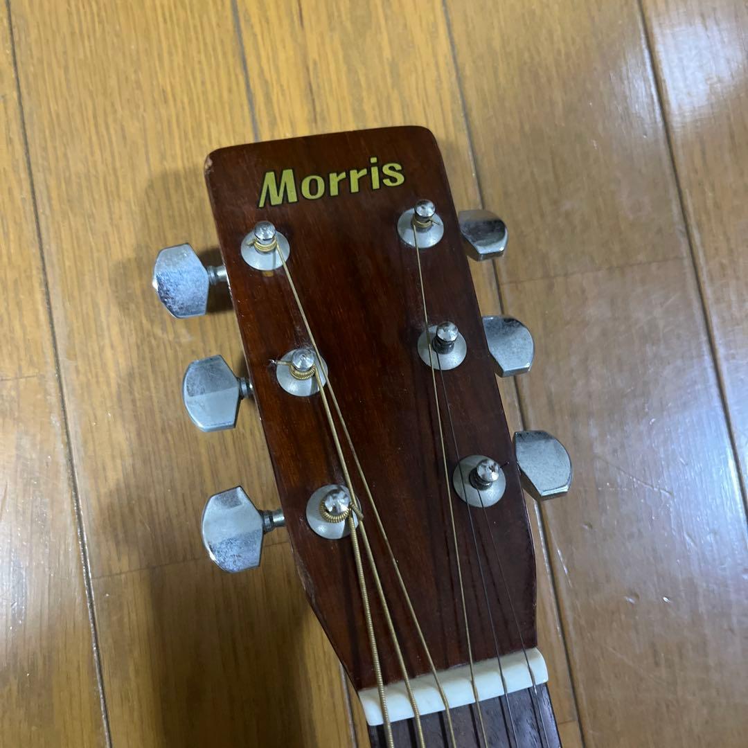 Morris W18 アコースティックギター