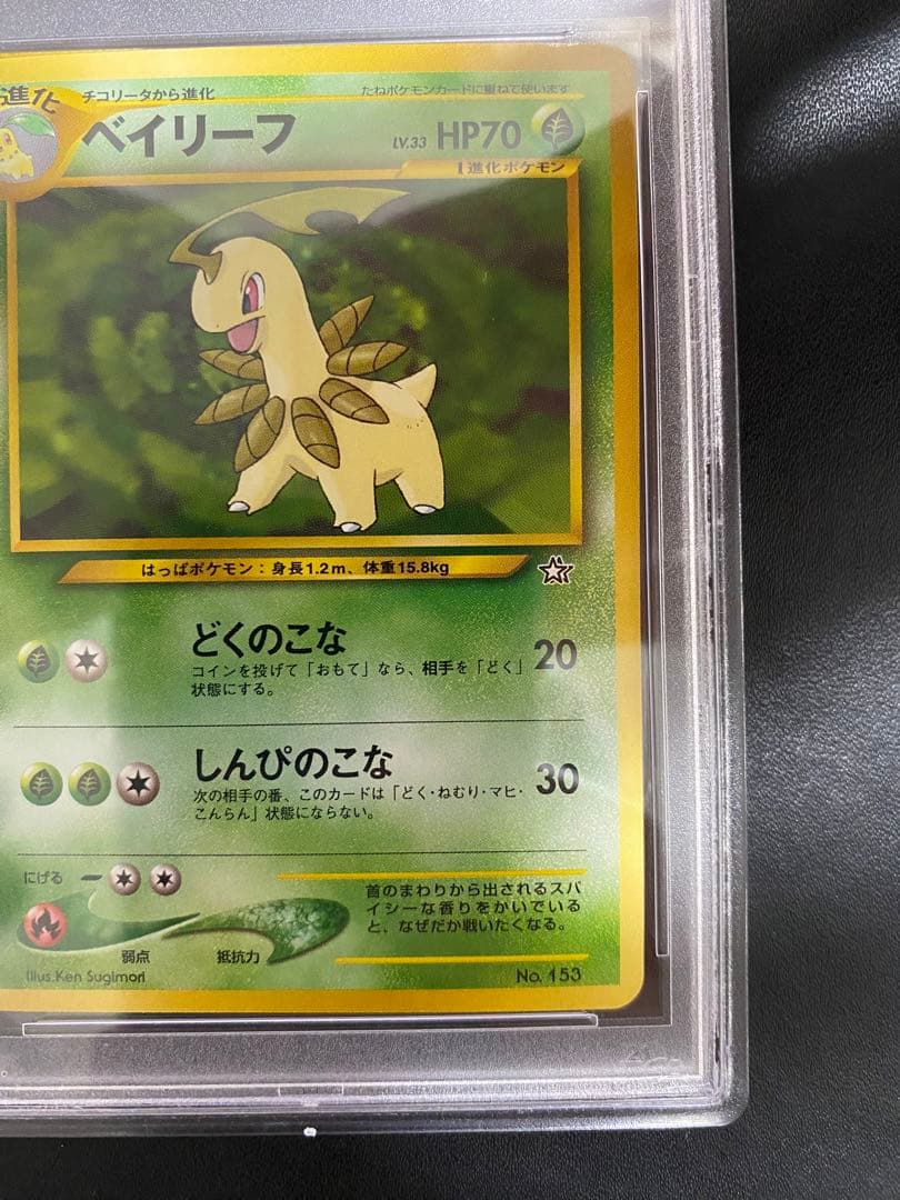 ベイリーフ 旧裏 PSA10 ポケモンカード