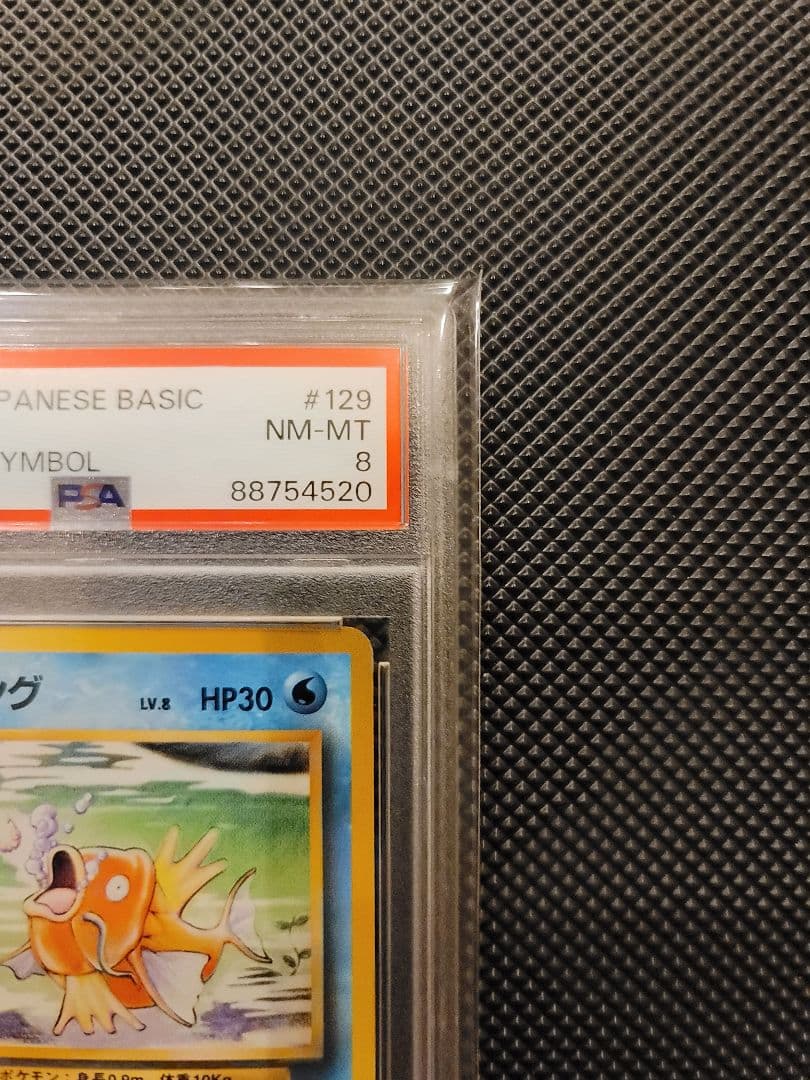 【PSA8】 コイキング　ポケモンカード 旧裏 初版 マークなし