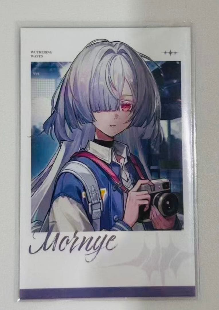 韓国限定 鳴潮 キャンパス モーニエ ポラロイドカード