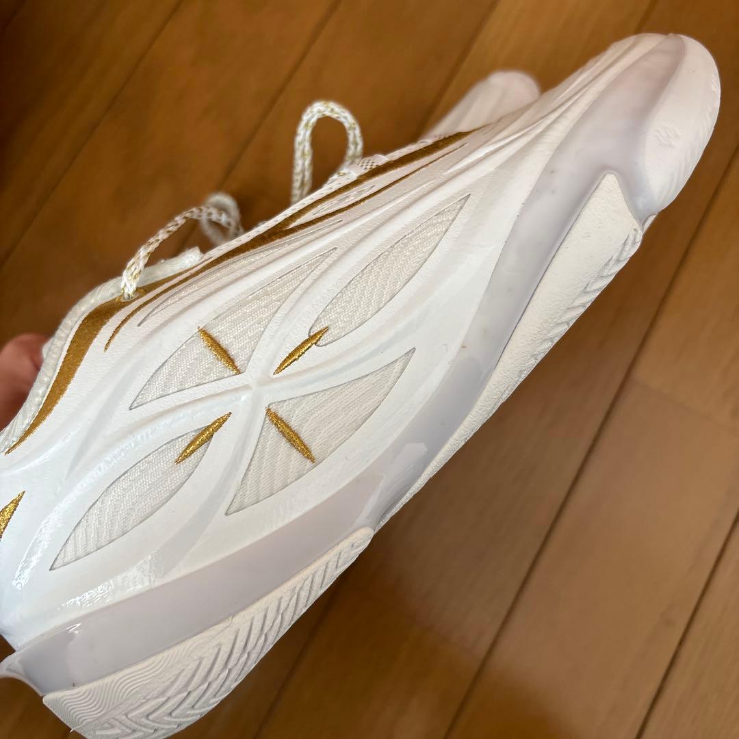 Wade 808 5 Ultra V2「勝利の道」　24cm