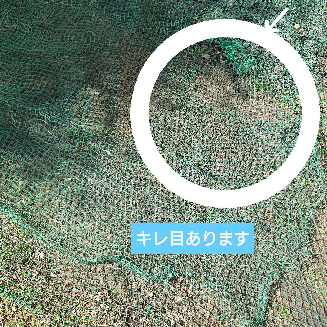 防球ネット 緑色 大きめ キズあり　9m✕8m