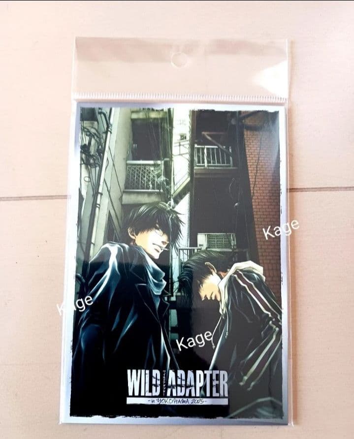 WILD ADAPTER アニメイト ワイルドアダプター ポストカードセット