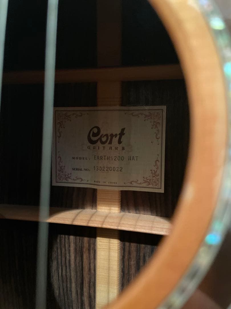 【定価16万円】Cort EARTH1200 アコギ ツリーオブライフ