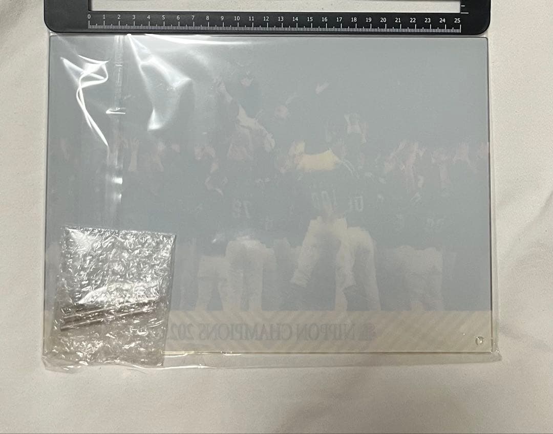 【匿名・非売品】福岡ソフトバンクホークス 優勝記念 アクリルフレーム 若鷹ガチャ