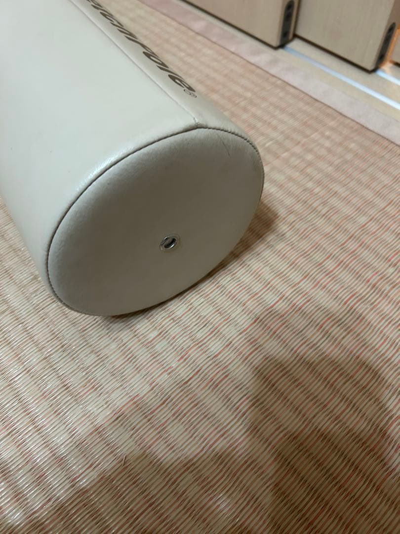 LPN ストレッチポール EX 正規品　StretchPole