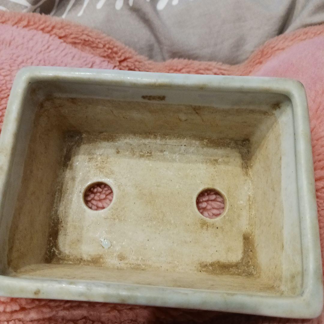 小品盆栽鉢寿悦山水画長方鉢